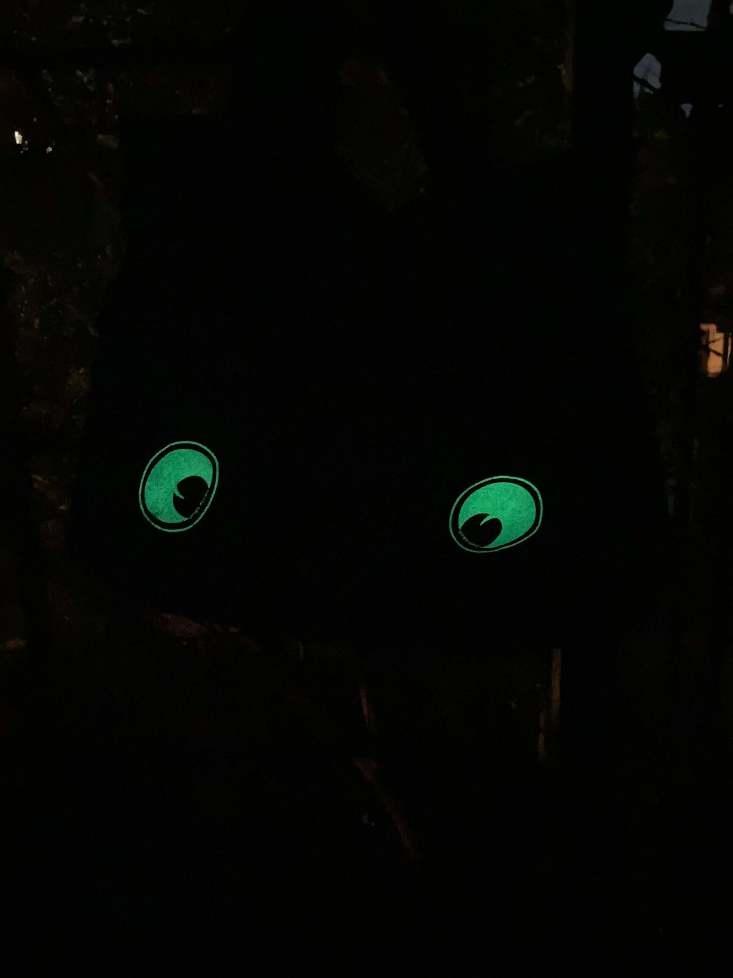 BAG: Googly Eye Cru x Art To Ware limited edition Glow in the Dark Tote Bag