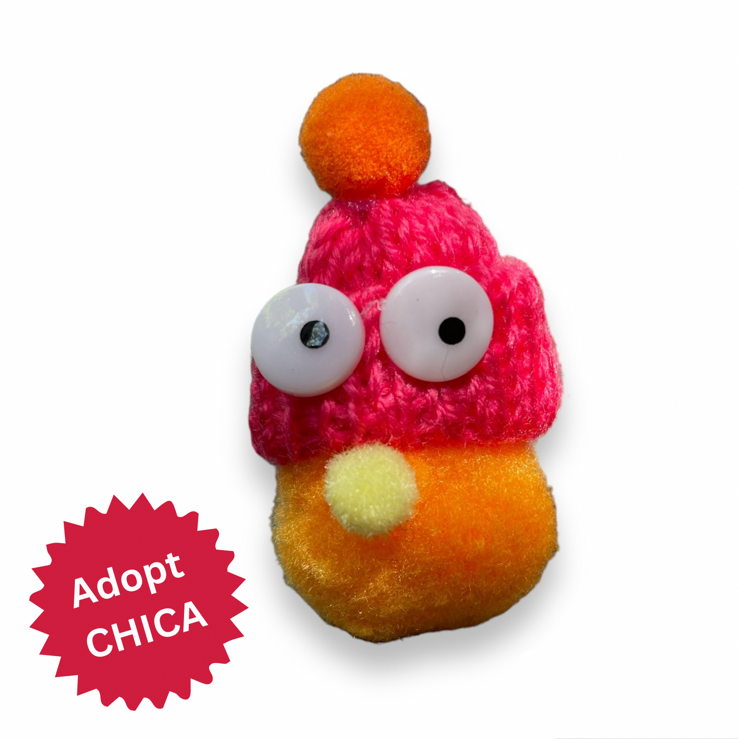 Pom Pom People Pins