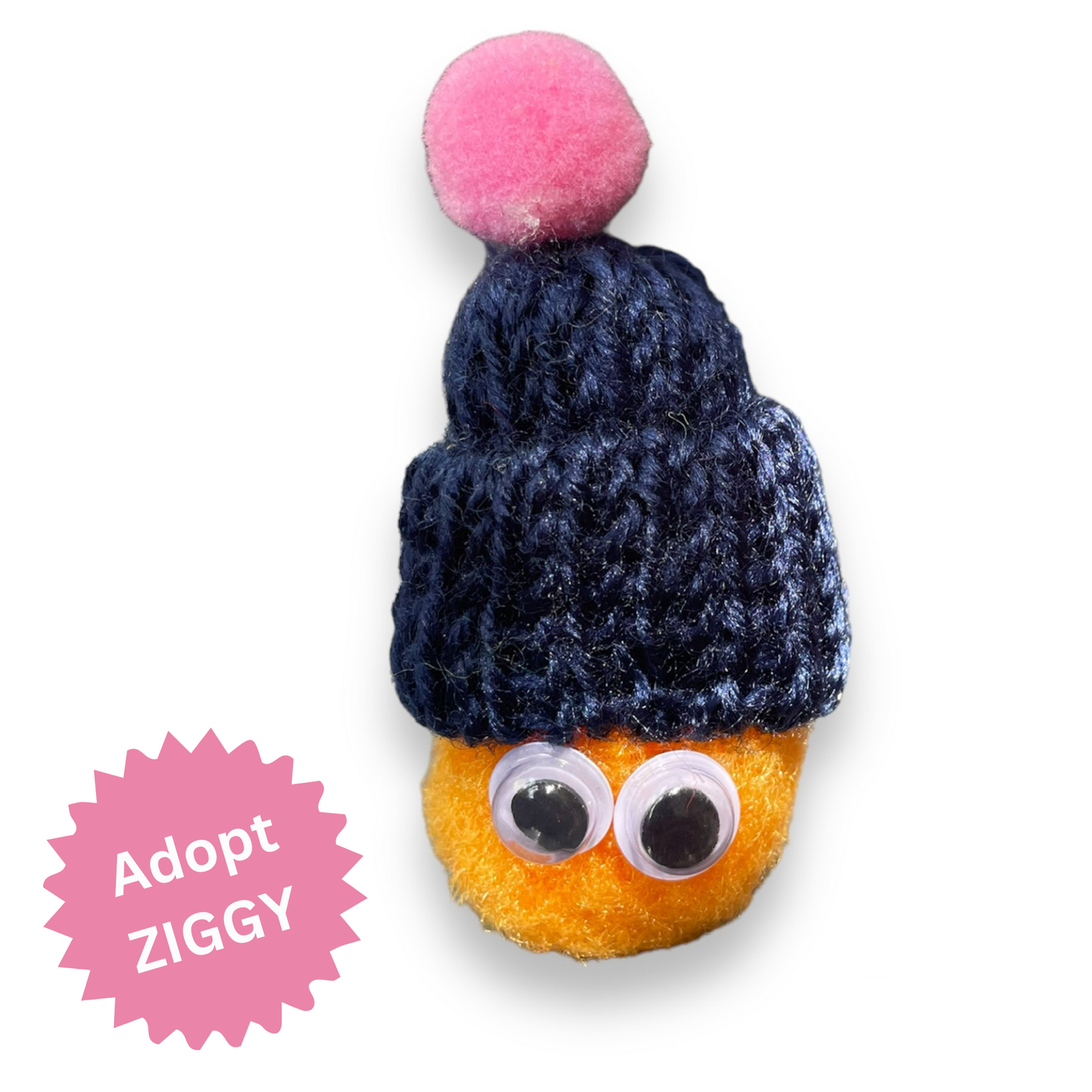 Pom Pom People Pins