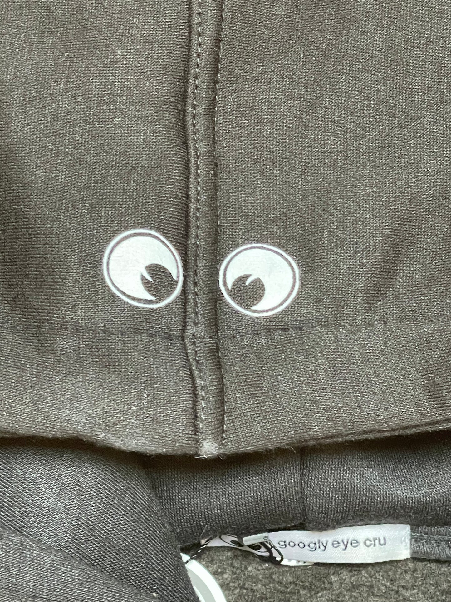 SWEATSHIRT: Big Chenille Eyes Pull over hood