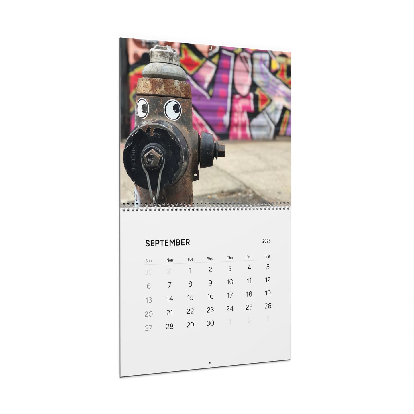 Googly Eye Cru Calendar 2026 | Funny Street Art Photography Calendar