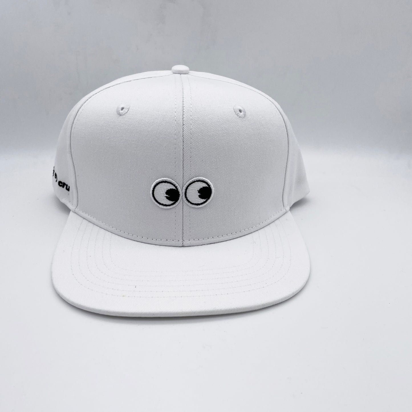 HAT: 6-Panel Snap Back Hat