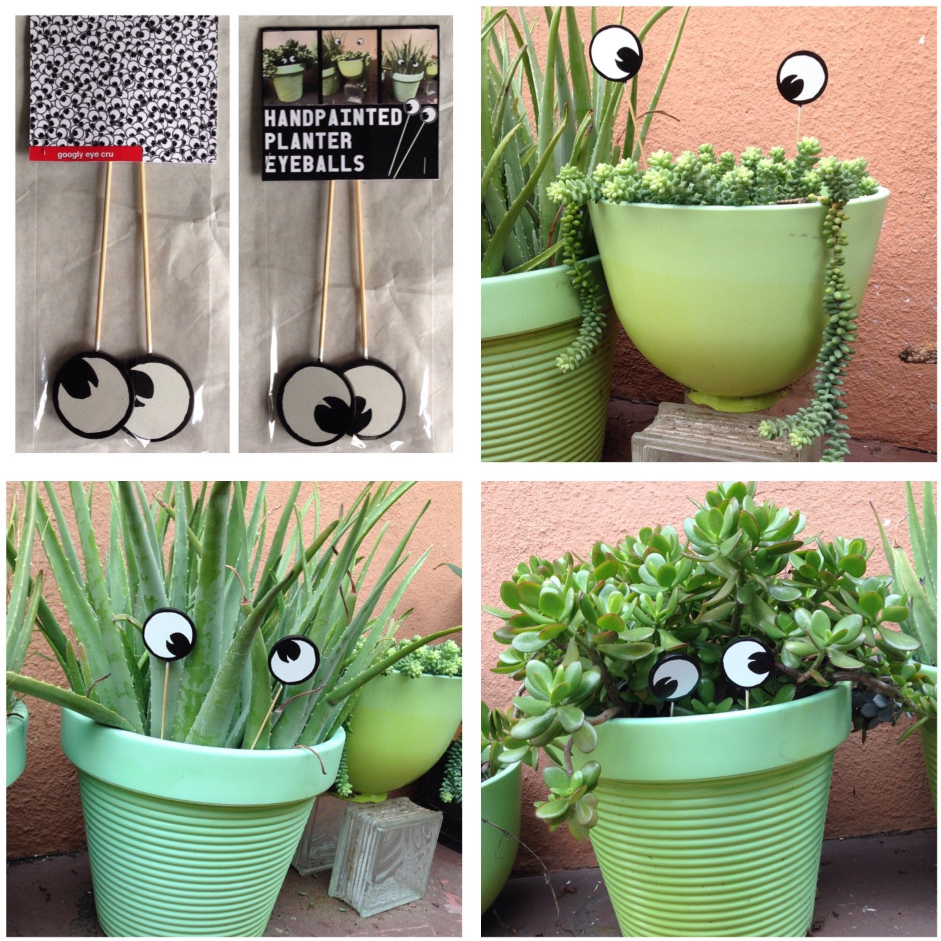 eye plant pot Googly Eye Cru Planter eyes